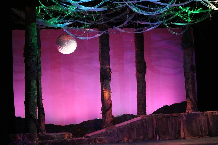 A sustainable set designed for the UMN Morris Theatre production of "A Midsummer Night's Dream" 